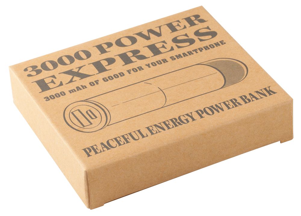 Внешний аккумулятор 3000 Power Express